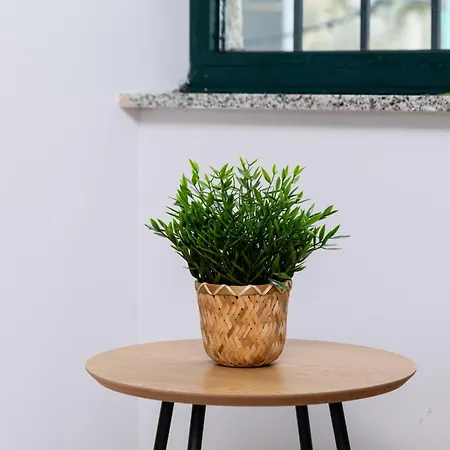 Muralla De - Casco Historico Lägenhet