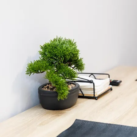 Muralla De - Casco Historico