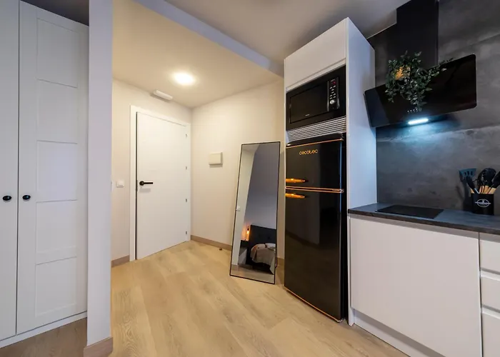 Apartamento Exclusivo Muralla De Lugo 1.1 *