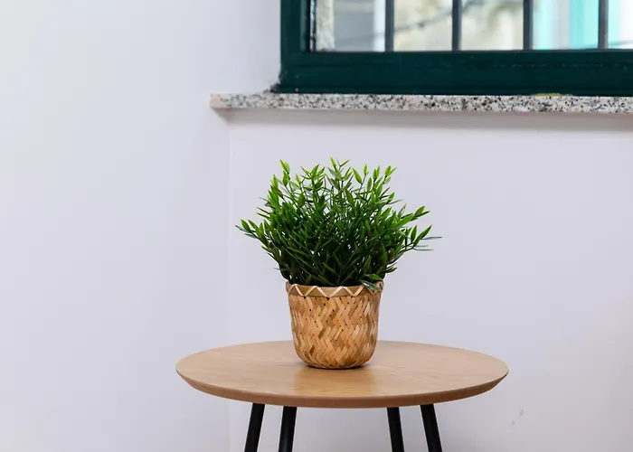 Apartamento Exclusivo Muralla De Lugo 1.1 Daire