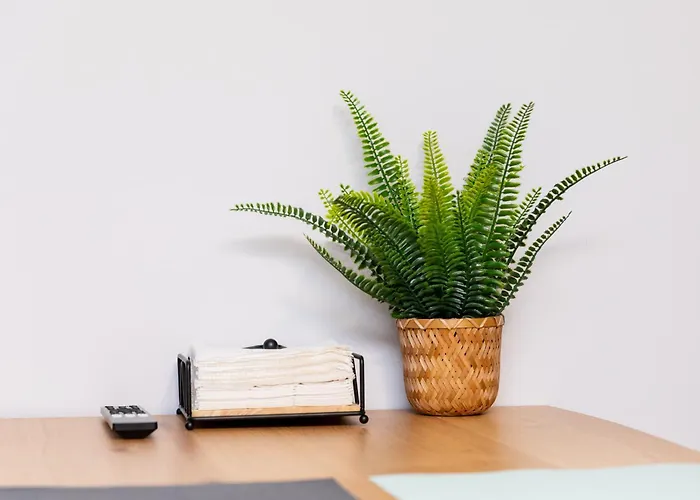 Apartamento Exclusivo Muralla De Lugo 1.1 Daire *