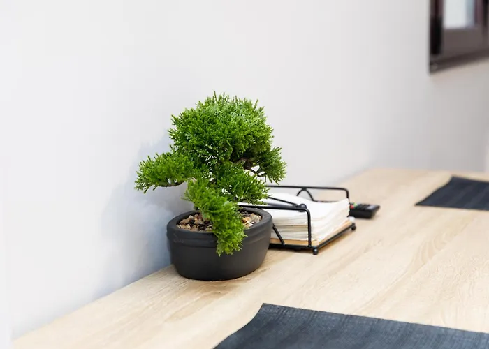 Apartamento Exclusivo Muralla De Lugo 1.1